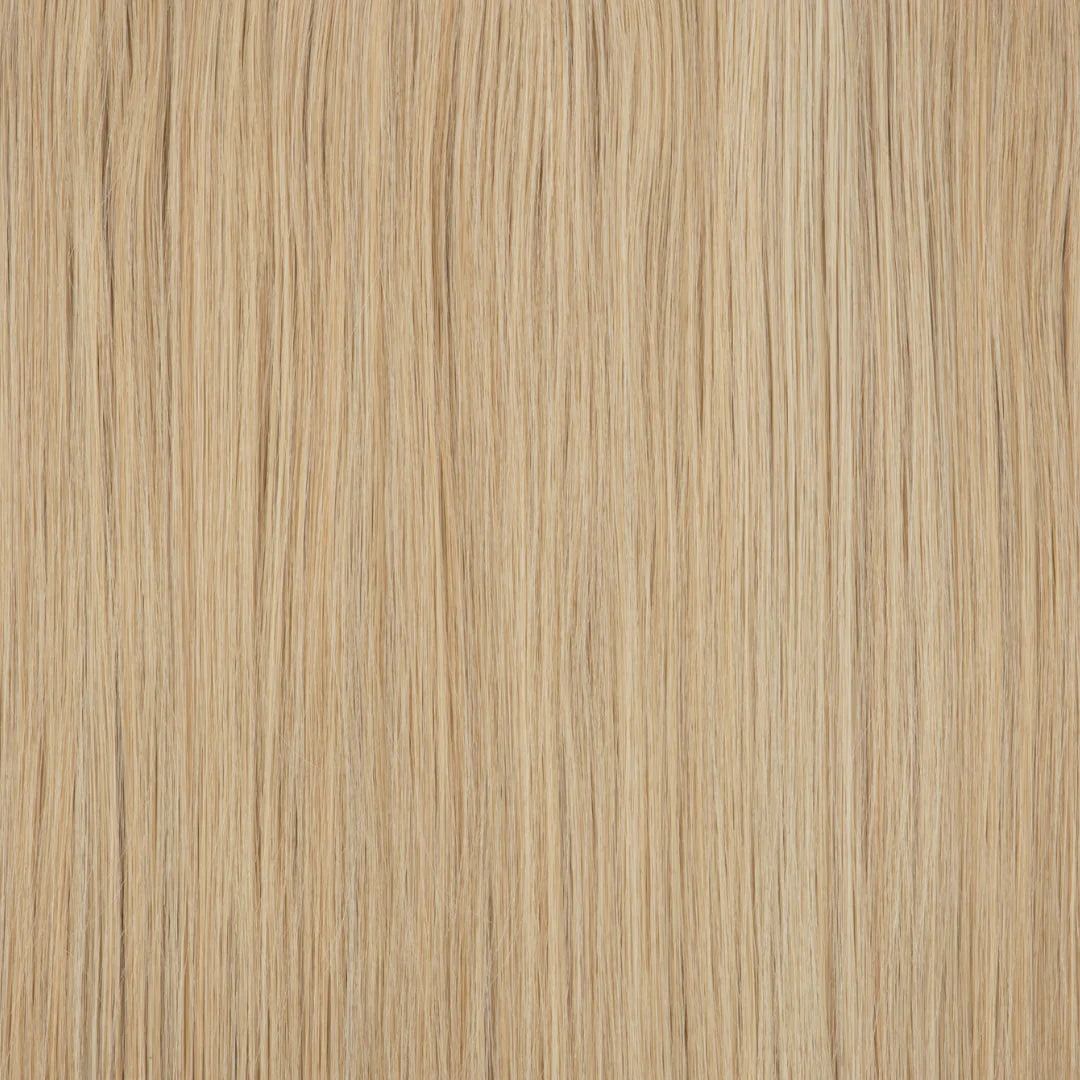 Light Ash Blonde / 22 Inch / Vip Price